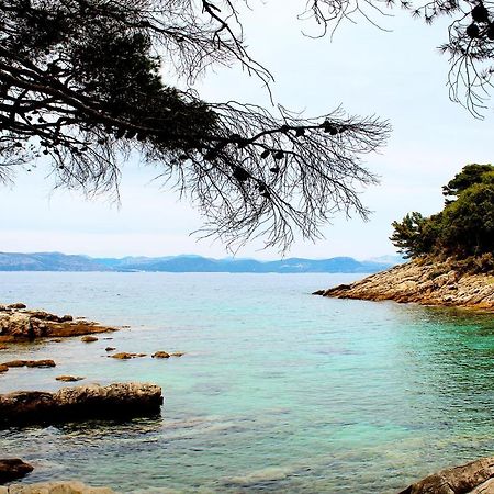 Apartment Marija Mljet 4 Sobra ภายนอก รูปภาพ