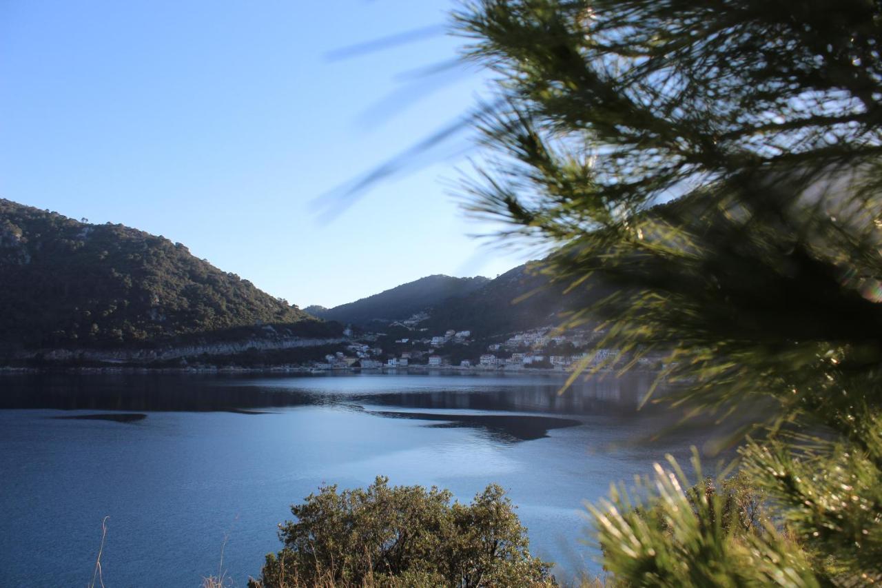 Apartment Marija Mljet 4 Sobra ภายนอก รูปภาพ